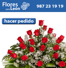 palma rosas rojas