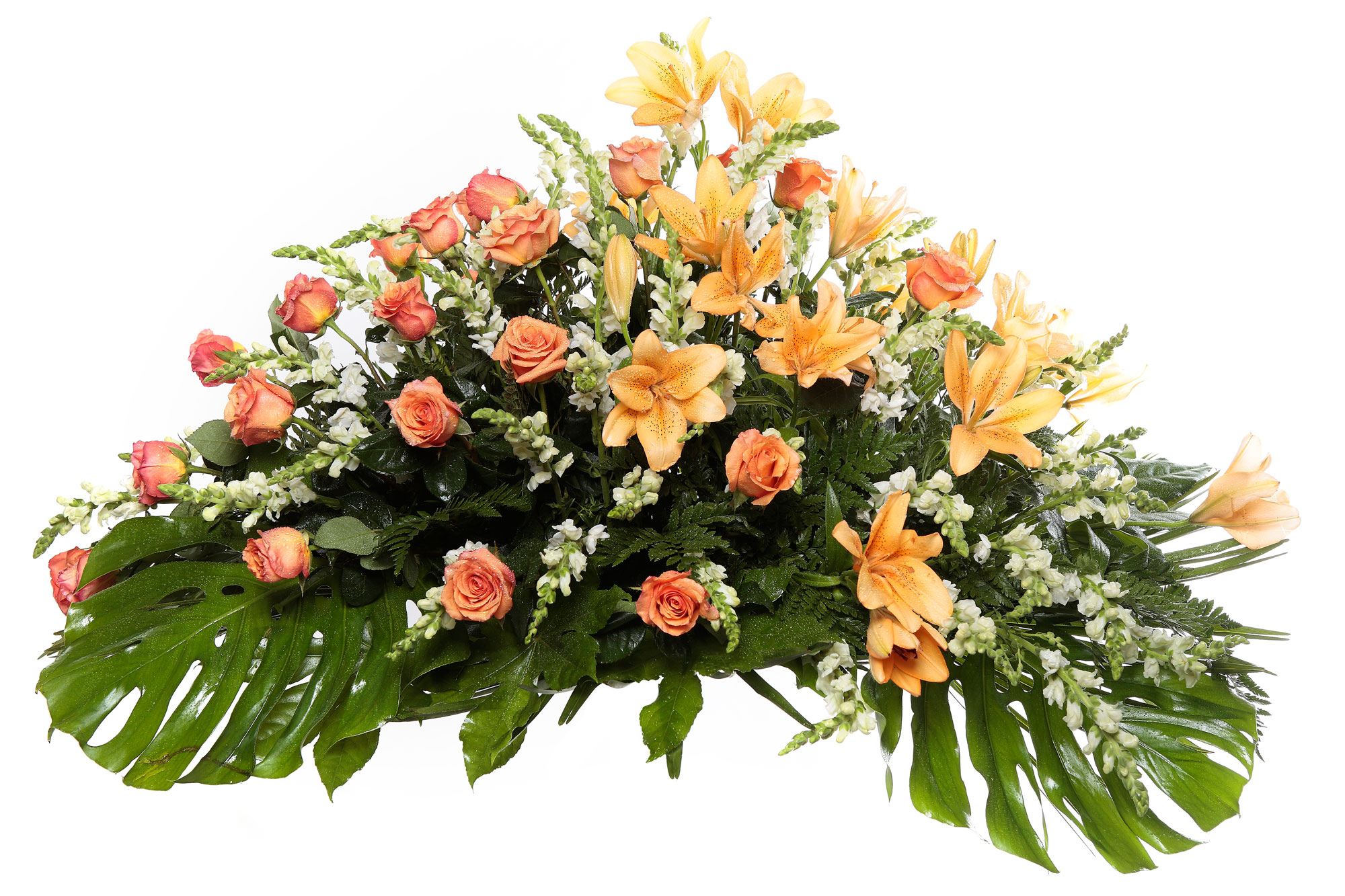 masa adherirse Cuestiones diplomáticas Palma flores tanatorio 12 E, Palmas, Flores naturales, Tienda online - Los  Jardines. Tanatorios y funerarias en León. Empresa Funeraria de León.  Prestamos servicios funerarios en toda la provincia de León