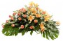 Palma flores tanatorio 12 E