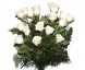 Ramo de 18 rosas blancas